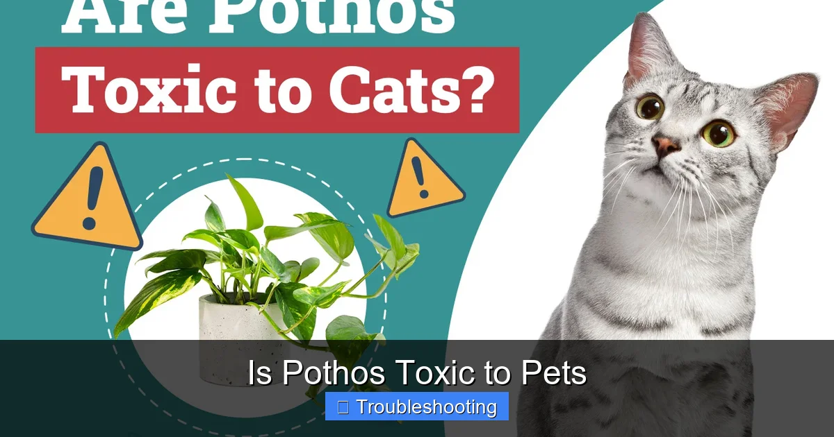 Is Pothos Toxic to Pets
