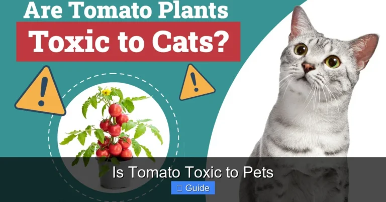 Is Tomato Toxic to Pets