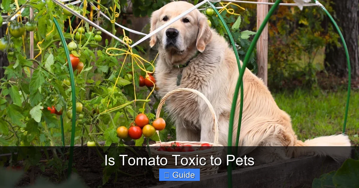 Is Tomato Toxic to Pets