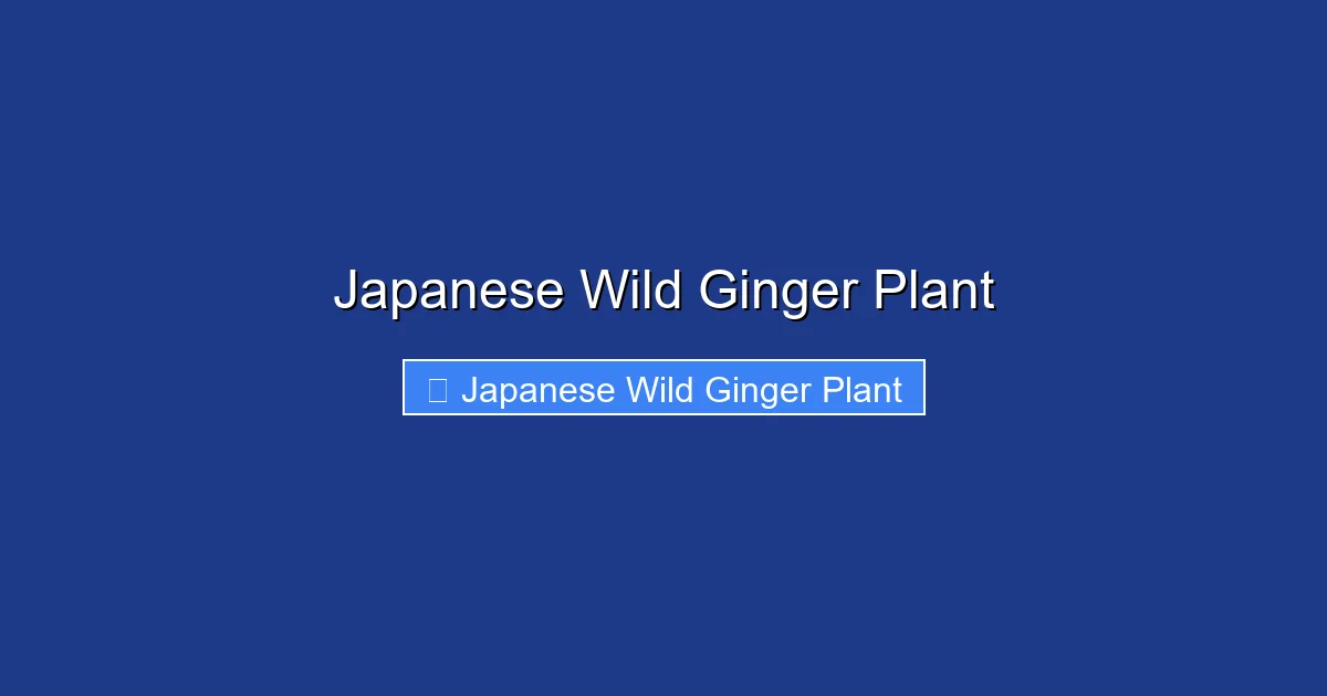 Japanese Wild Ginger Plant