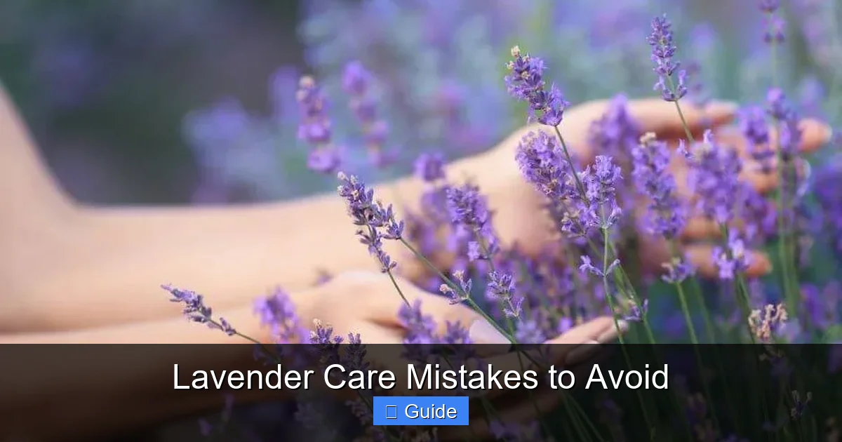 Lavender Care Mistakes to Avoid