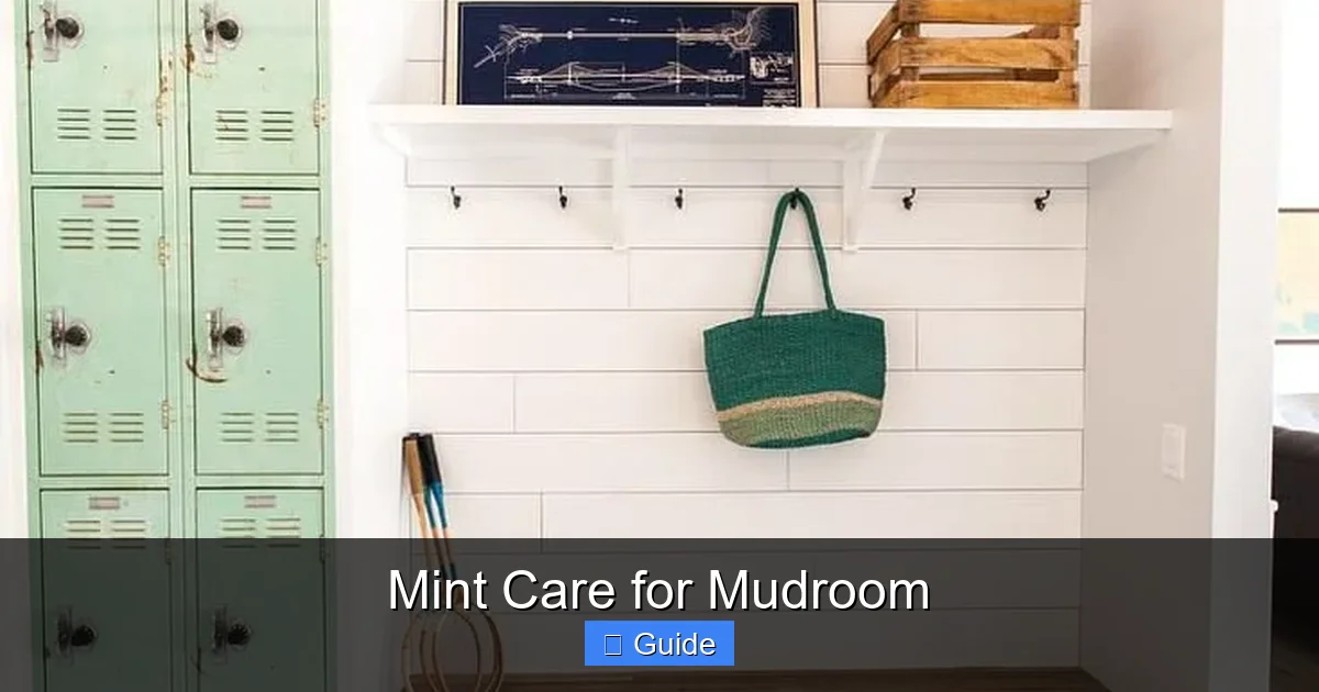 Mint Care for Mudroom