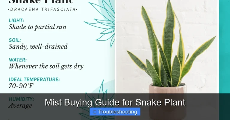 Mist Buying Guide for Snake Plant
