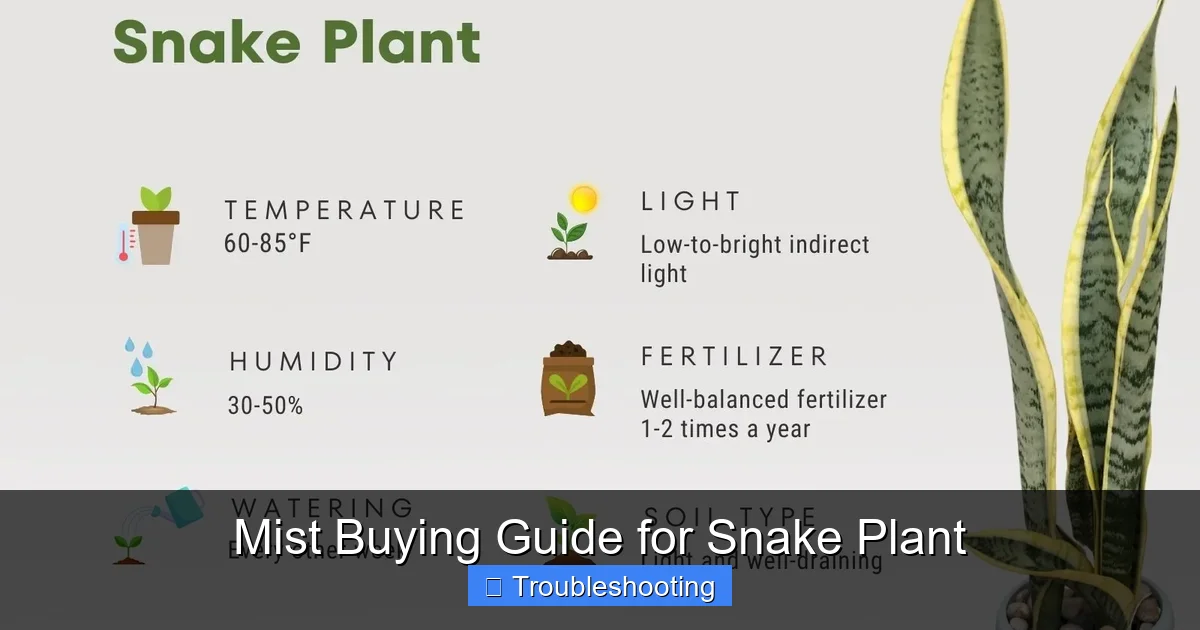 Mist Buying Guide for Snake Plant