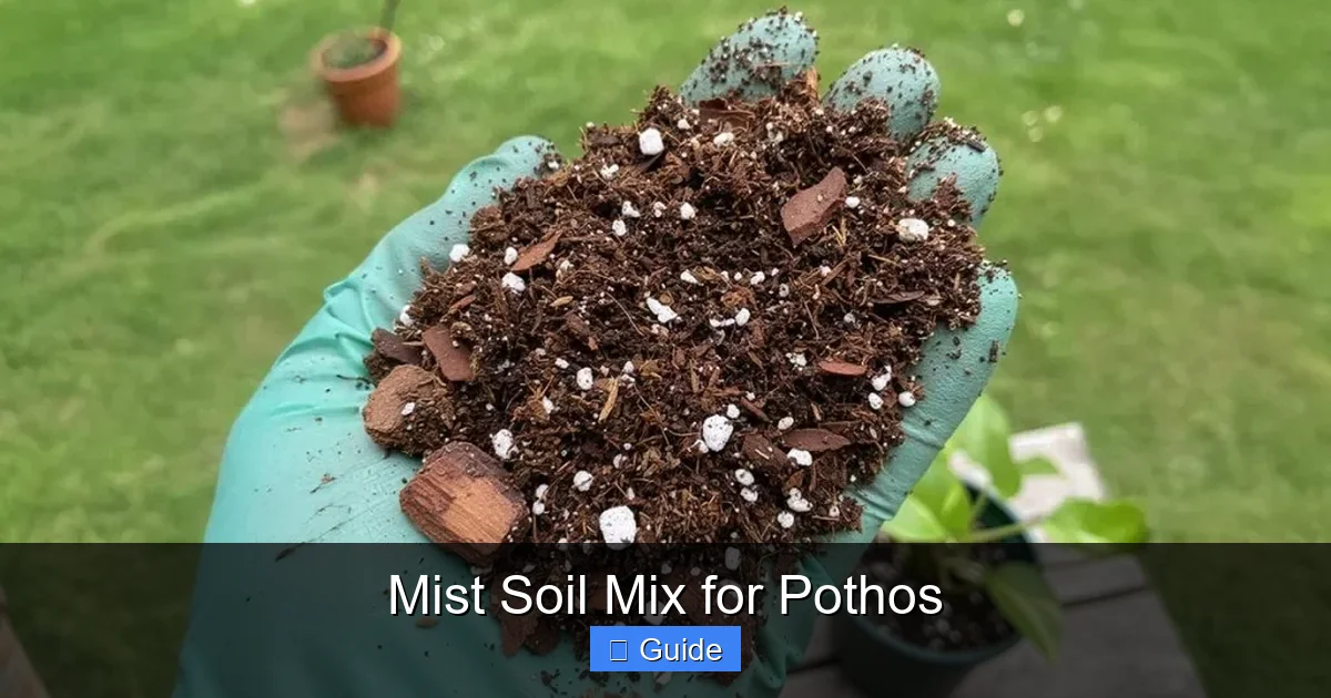 Mist Soil Mix for Pothos