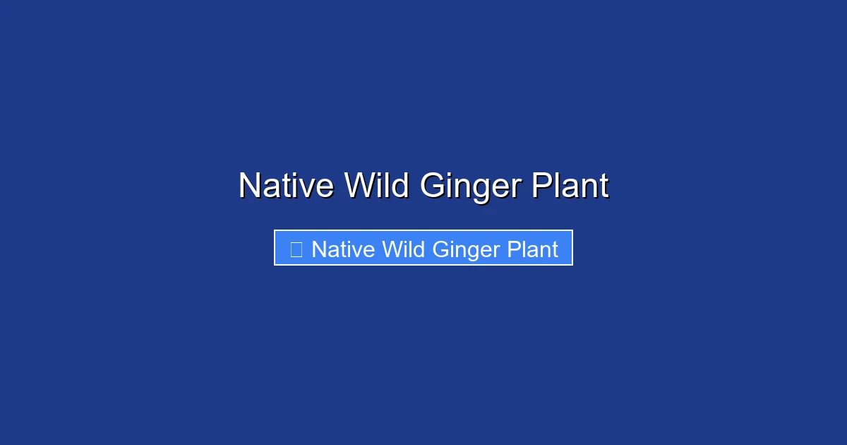 Native Wild Ginger Plant