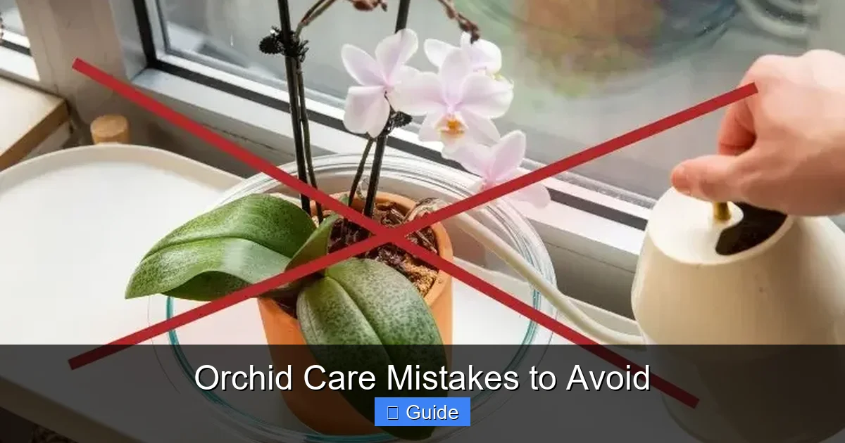 Orchid Care Mistakes to Avoid