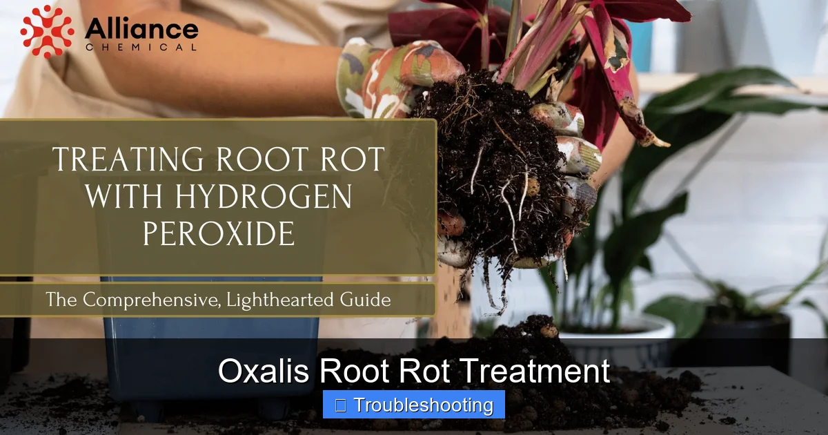 Oxalis Root Rot Treatment