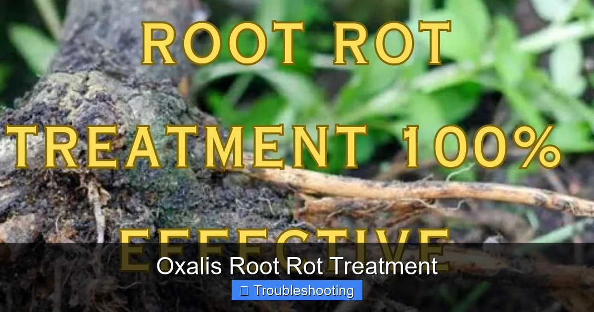 Oxalis Root Rot Treatment