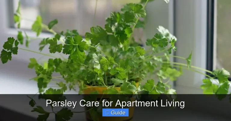 Parsley Care for Apartment Living