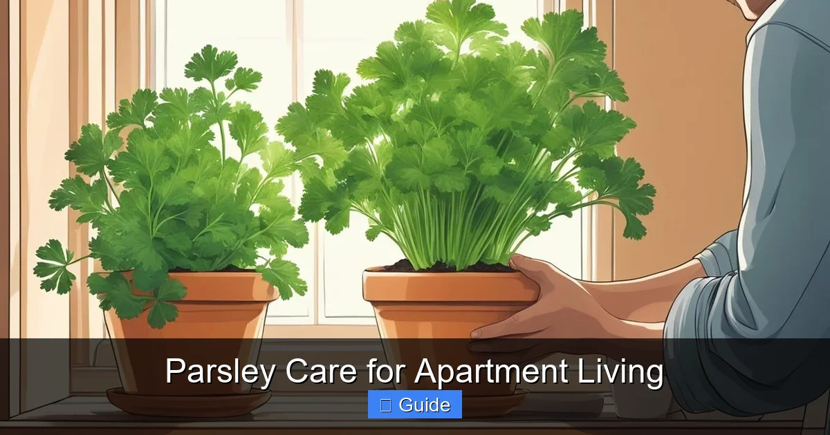 Parsley Care for Apartment Living