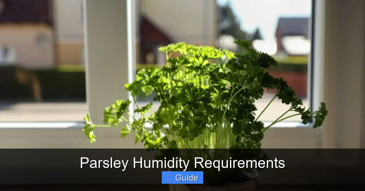 Parsley Humidity Requirements