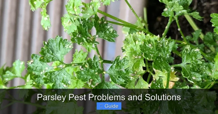 Parsley Pest Problems and Solutions