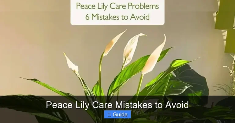 Peace Lily Care Mistakes to Avoid