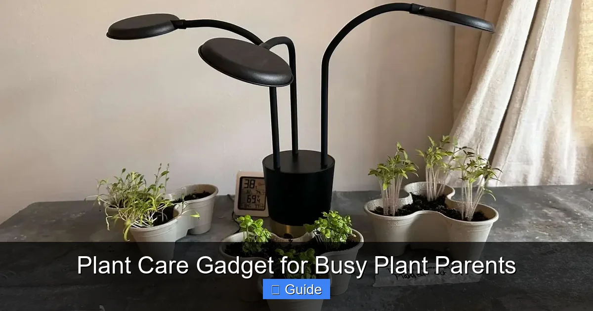 Plant Care Gadget for Busy Plant Parents