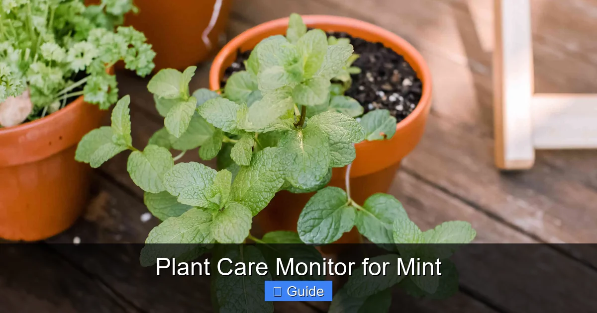 Plant Care Monitor for Mint