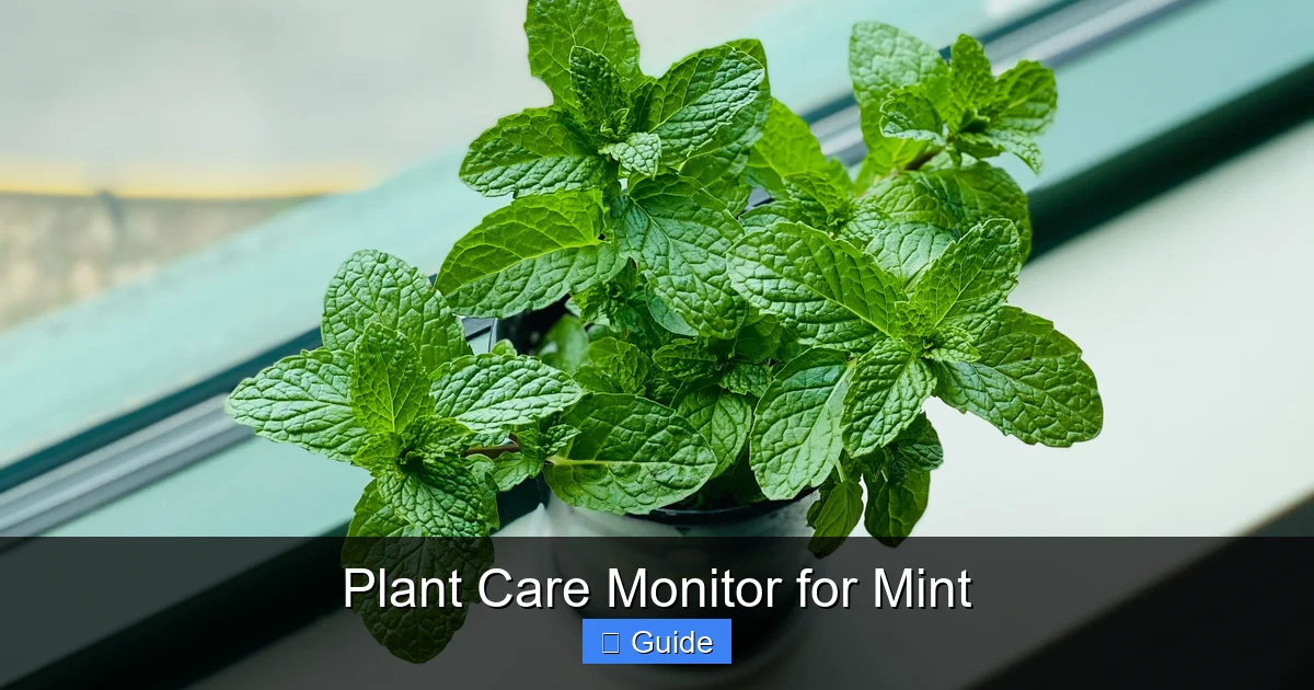 Plant Care Monitor for Mint