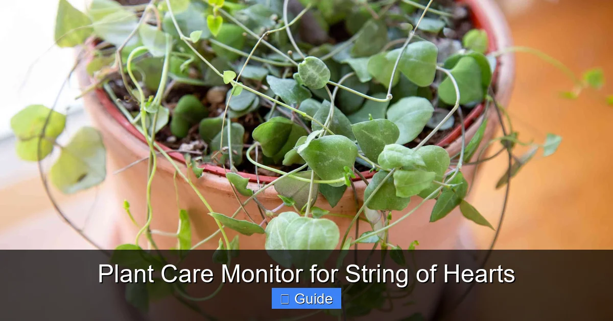 Plant Care Monitor for String of Hearts