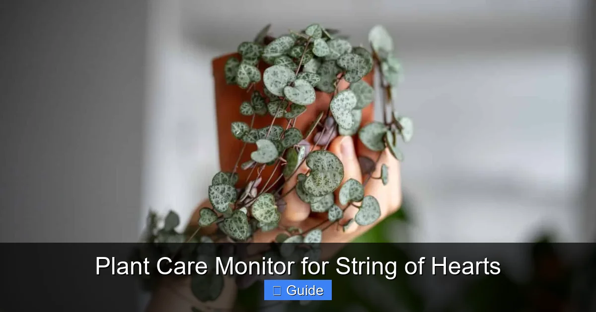 Plant Care Monitor for String of Hearts
