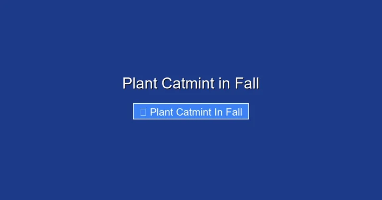 Plant Catmint in Fall
