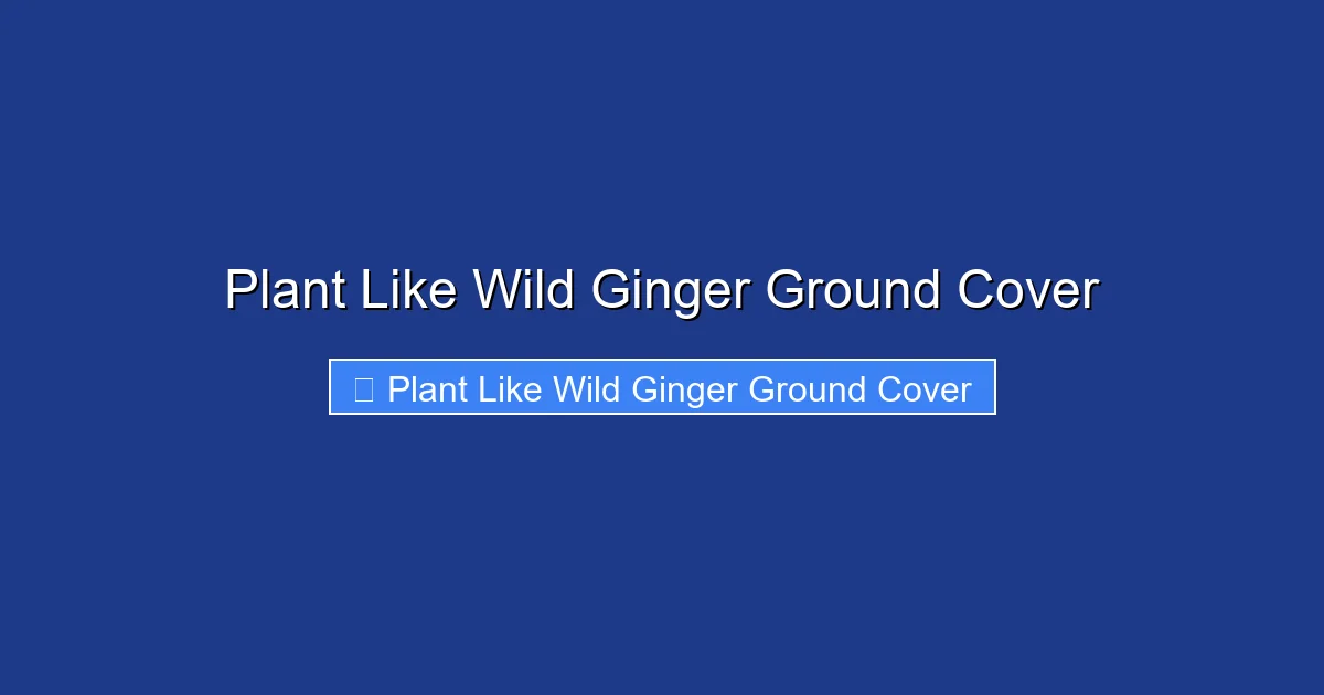 Plant Like Wild Ginger Ground Cover
