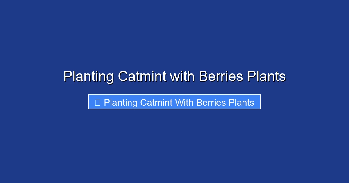 Planting Catmint with Berries Plants