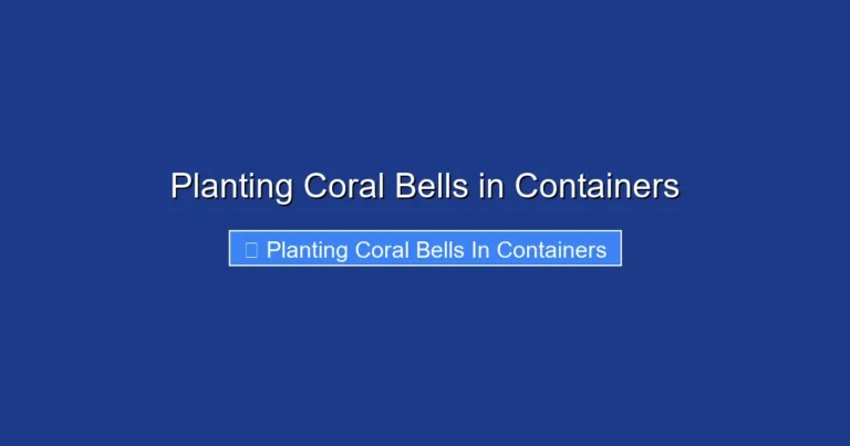 Planting Coral Bells in Containers