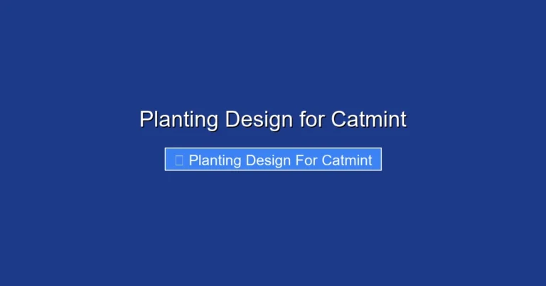 Planting Design for Catmint