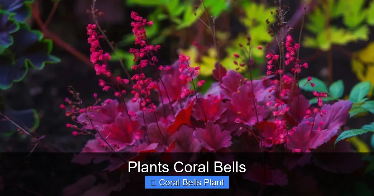 Plants Coral Bells