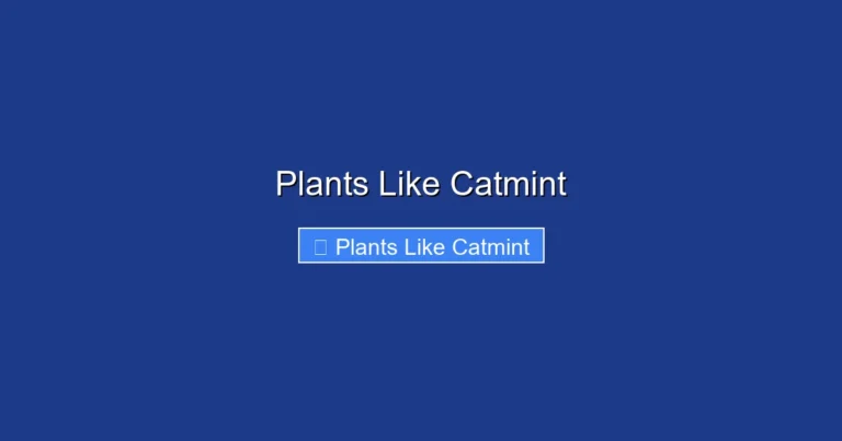 Plants Like Catmint