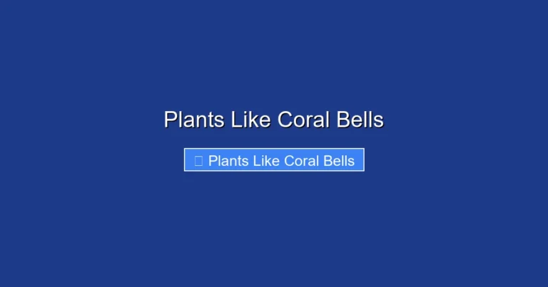 Plants Like Coral Bells