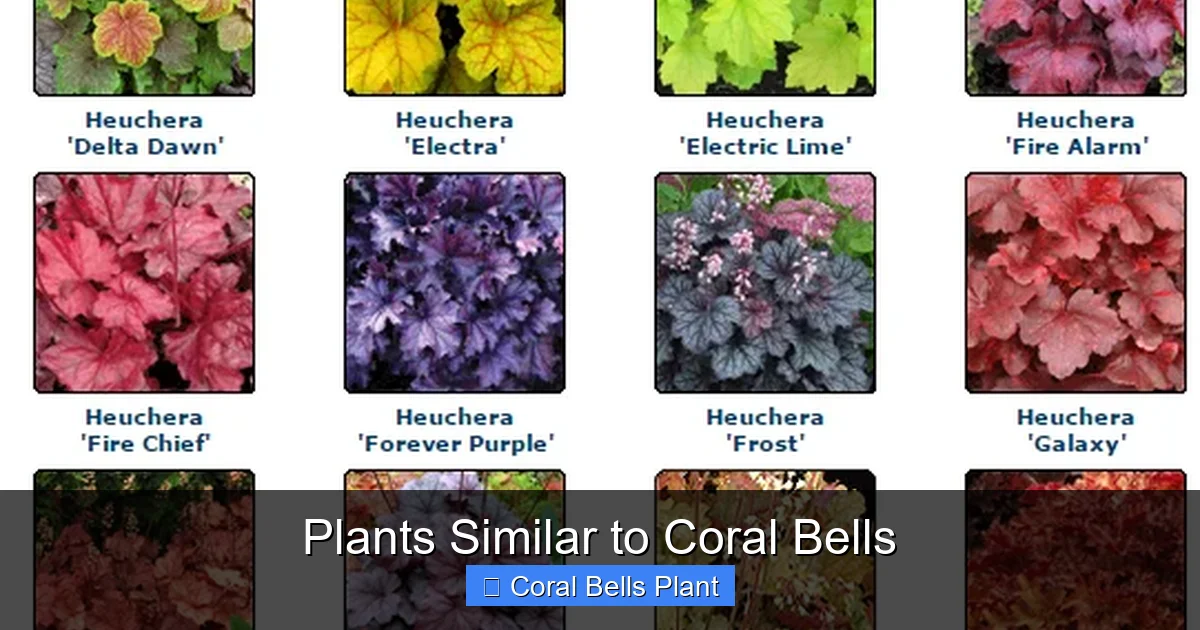 Plants Similar to Coral Bells
