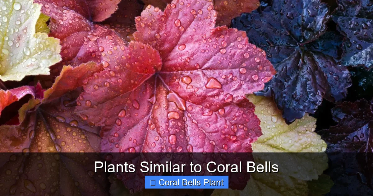 Plants Similar to Coral Bells