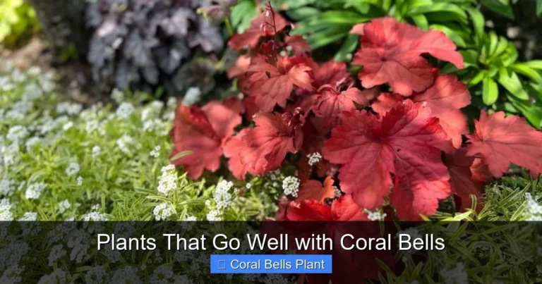 Plants That Go Well with Coral Bells