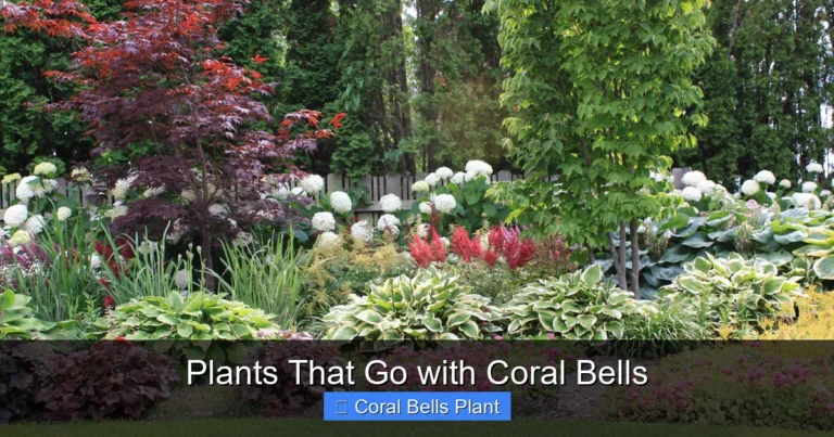 Plants That Go with Coral Bells