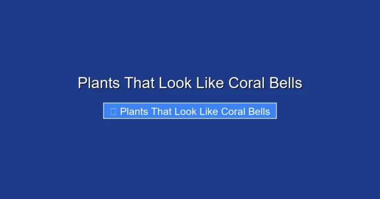 Plants That Look Like Coral Bells
