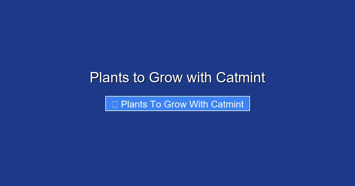 Plants to Grow with Catmint