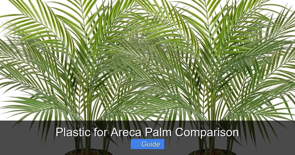 Plastic for Areca Palm Comparison