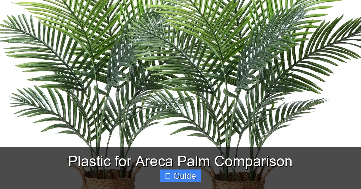 Plastic for Areca Palm Comparison