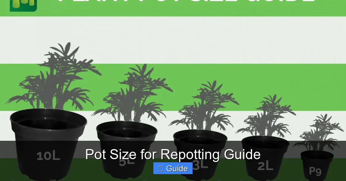 Pot Size for Repotting Guide