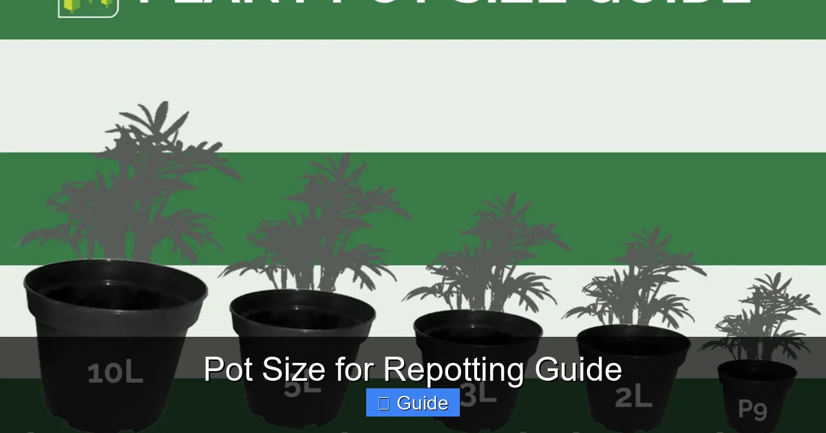Pot Size for Repotting Guide