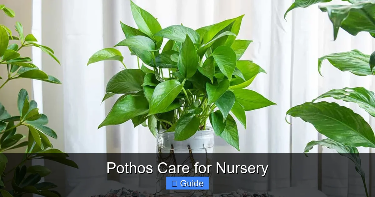 Pothos Care for Nursery