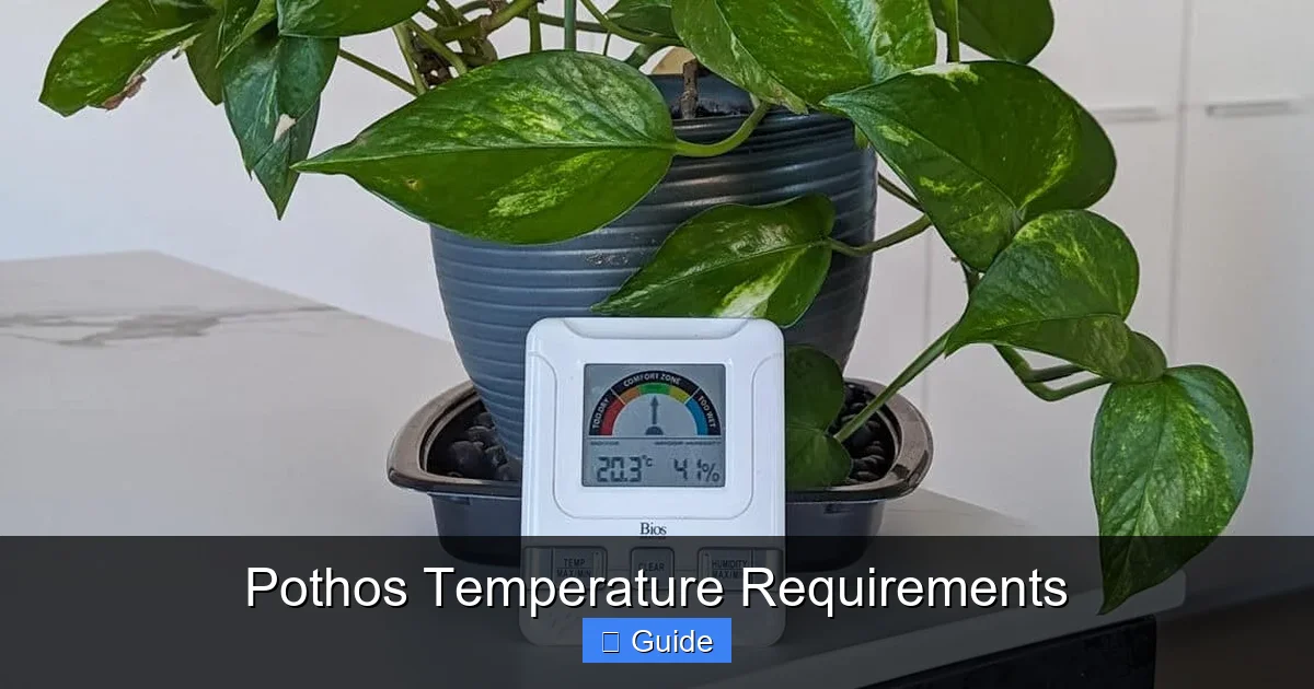 Pothos Temperature Requirements