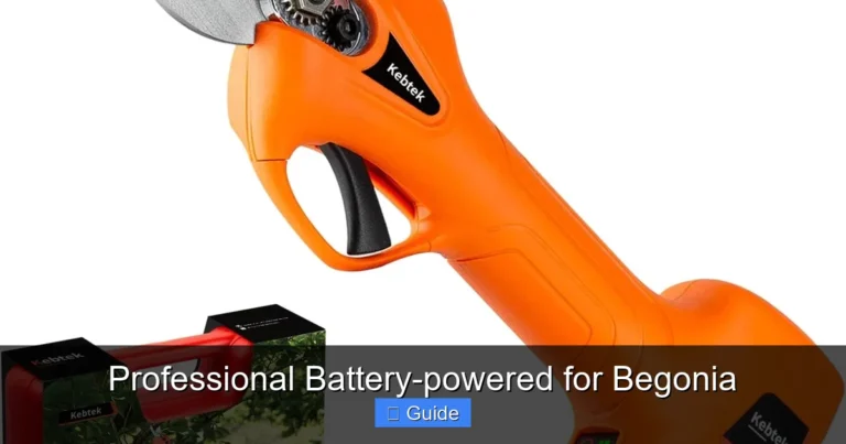 Professional Battery-powered for Begonia