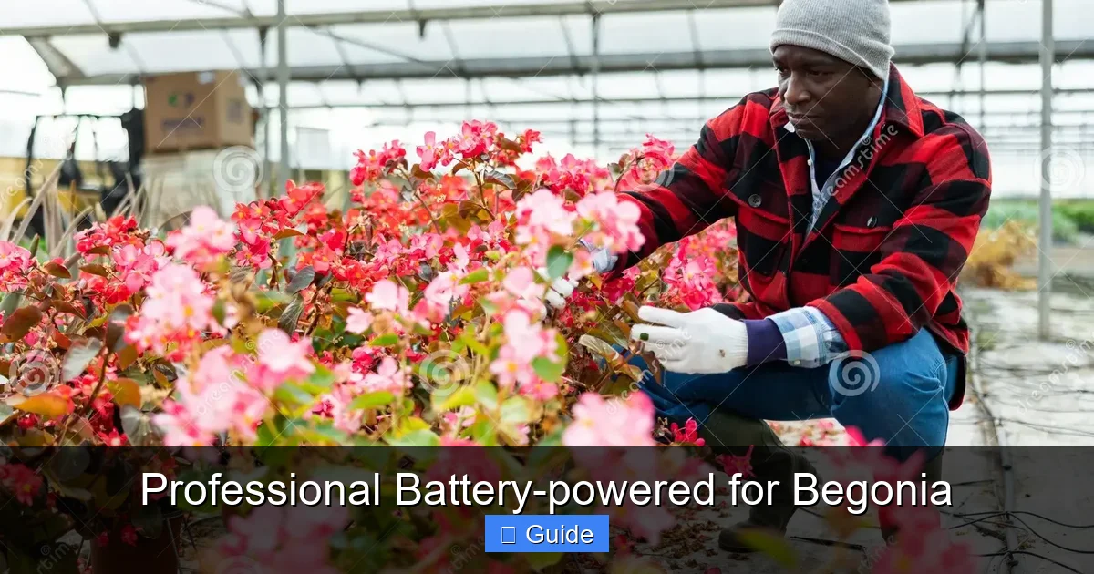 Professional Battery-powered for Begonia