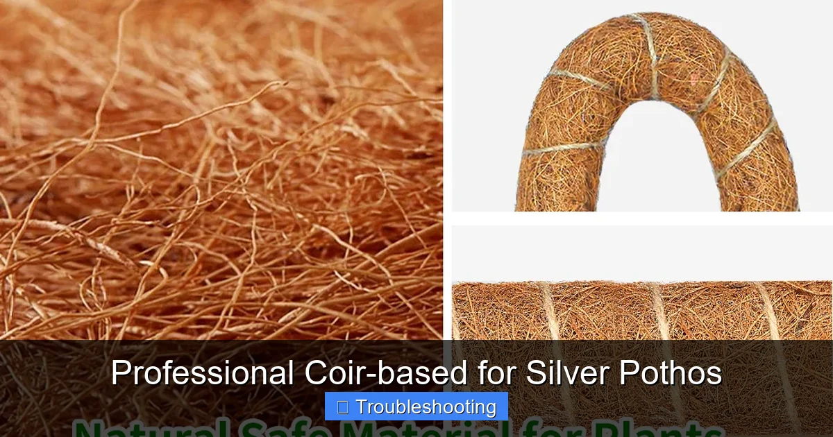 Professional Coir-based for Silver Pothos