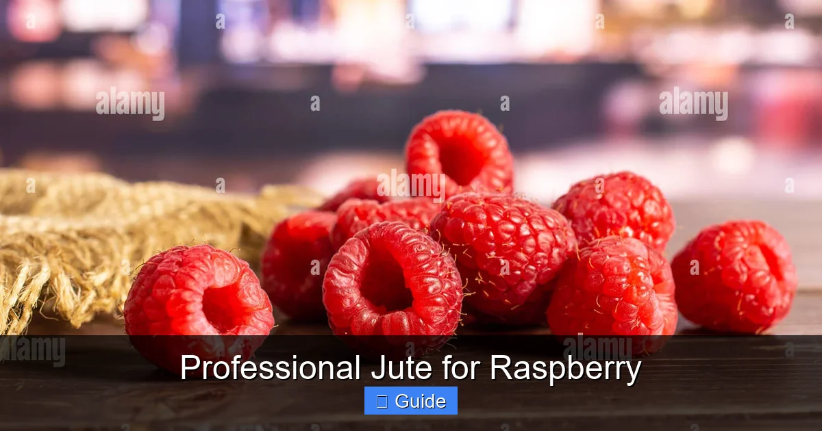 Professional Jute for Raspberry