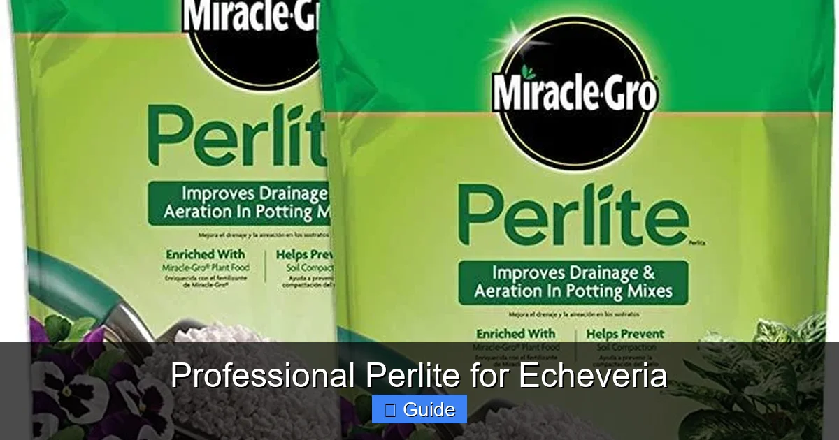 Professional Perlite for Echeveria