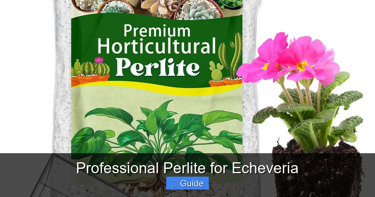 Professional Perlite for Echeveria