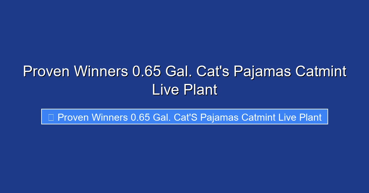 Proven Winners 0.65 Gal. Cat's Pajamas Catmint Live Plant